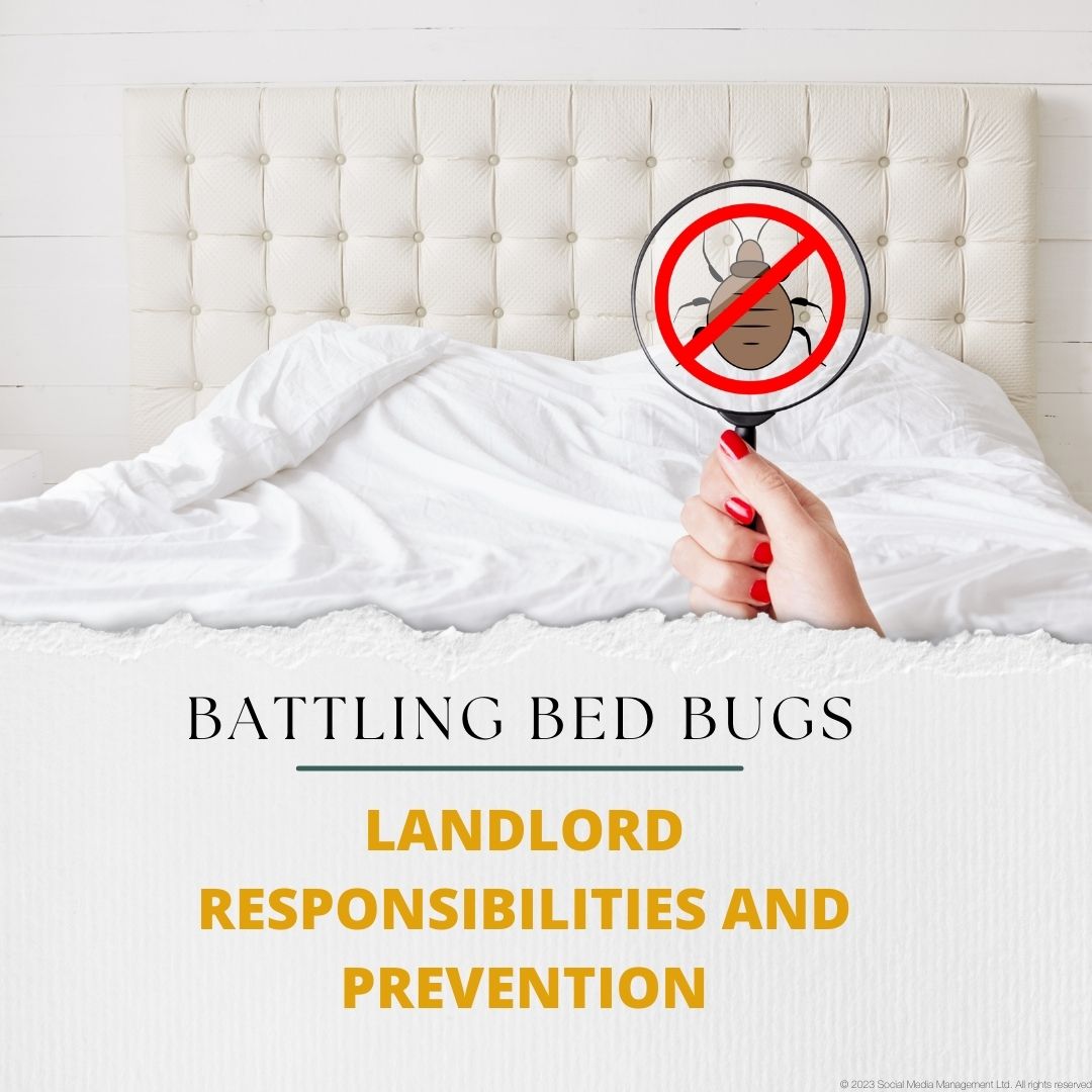 Battling Bed Bugs Landlord Responsibilities and Prevention My House